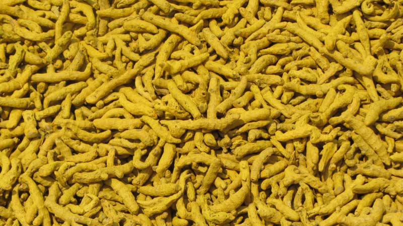 Organic turmeric finger, Color : Yellow