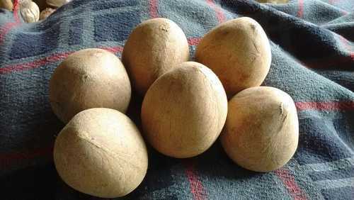 Organic Coconut Ball Copra
