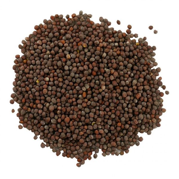Organic black mustard seeds, Packaging Type : Jute Bag