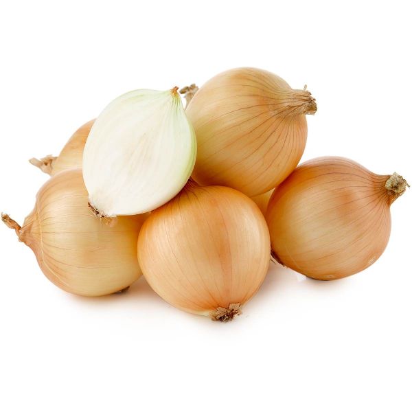 Organic fresh onion, Size : Large, Medium, Small