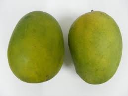 Dasehri mango