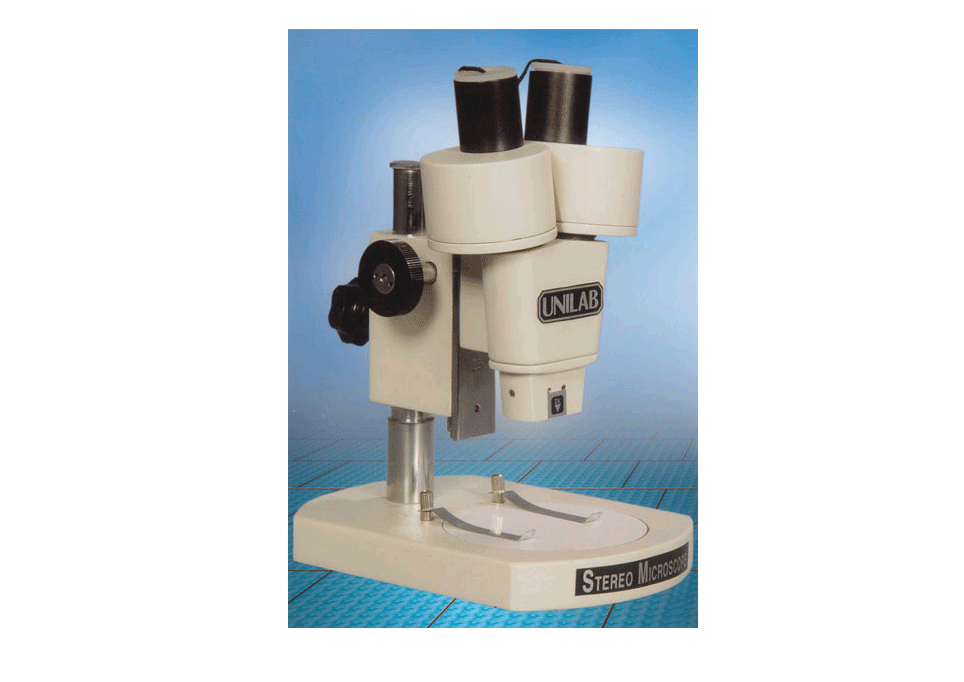 Stereo Microscope