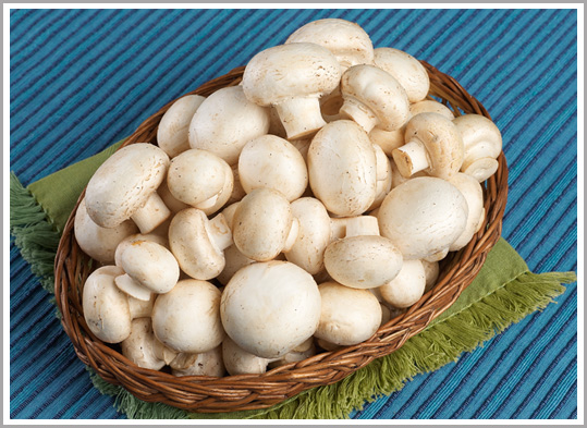 Fresh Button Mushroom, Packaging Type : Packed in plastic bags