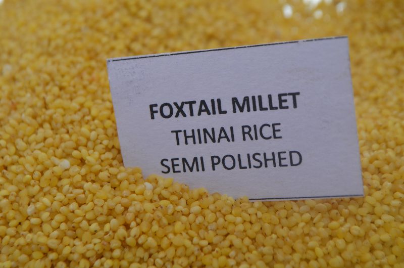 Organic Dehusk Foxtail millet semipolished (thinai)