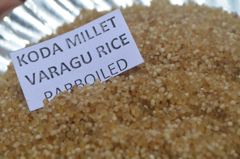 Koda millet parboiled ( varagu)