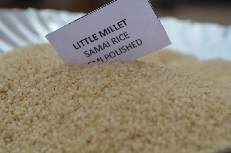 Little Millet Semipolished (Samai)