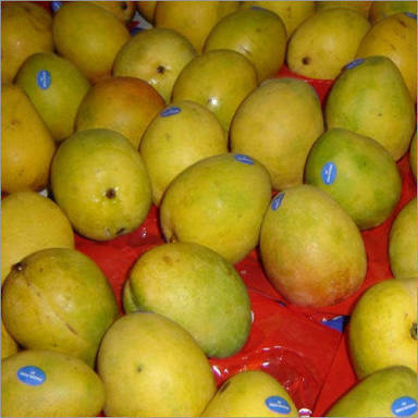 Fresh Malgova Mango