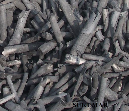 Hard Wood Charcoal Supplier from Tamilnadu
