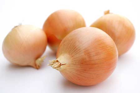 fresh onion