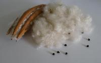 kapok cotton fibers