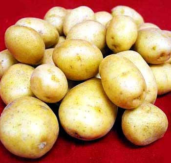 Fresh Organic Potatoes