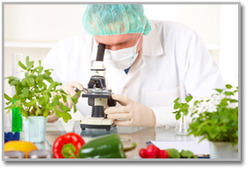 Food Analysis Services