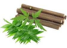 Neem Chew Sticks