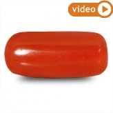 Red Coral Gemstone, for jewellery