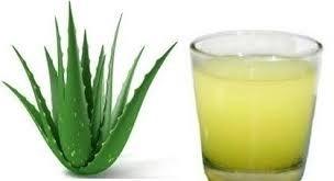 Filtered Aloe Vera Juice, Form : Liquid