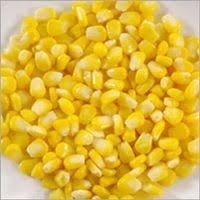 maize