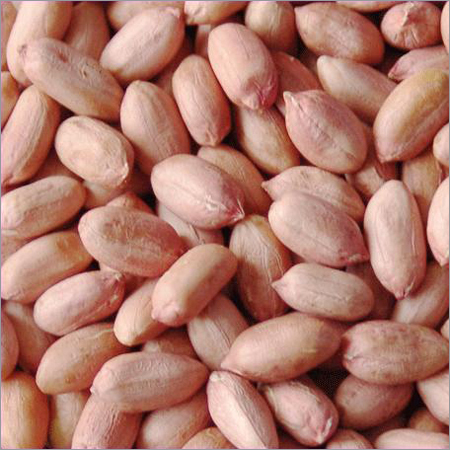 Peanuts (Groundnut)