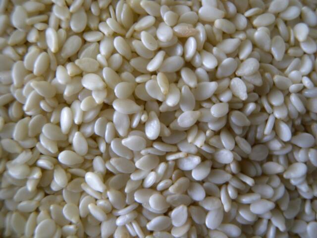 Common sesame seeds, Style : Natural, Roasted, MACHINE CLEAN