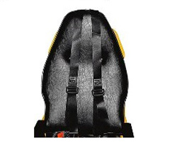 Belt for Padded Chair