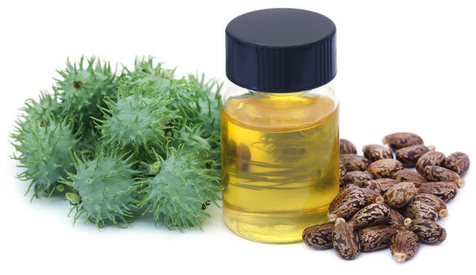 Castor Oil & Seeds