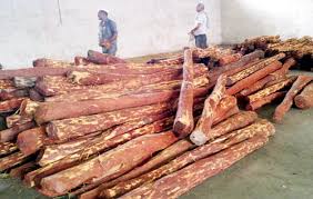 red sandalwood logs