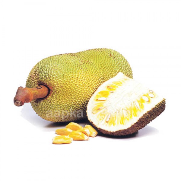 Peeled Jackfruit