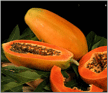 papaya puree