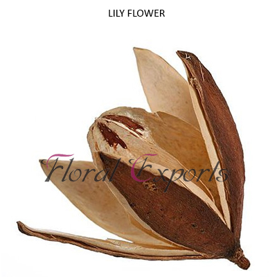 Natural Dried Flowers at Best Price in Kolkata