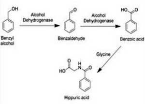 Benzyl Alcohols