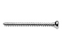 Cortical Screws, Length : 6mm - 20mm
