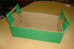 JUTE TRAY WITH GREEN DYED COLOR
