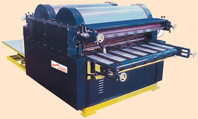 Two Colour Flexo Printer