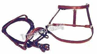 HH-02 Horse Harness