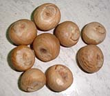 Areca Nut, Betelnuts
