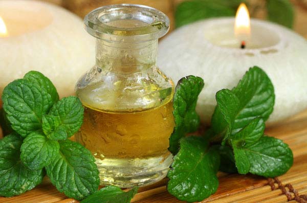 Mentha Piperita Oil