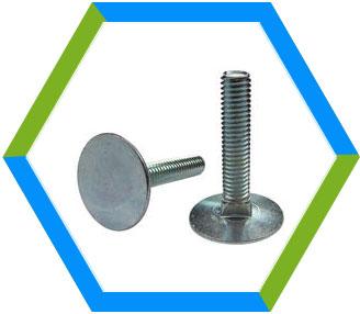 Stainless Steel Elevator Bolts