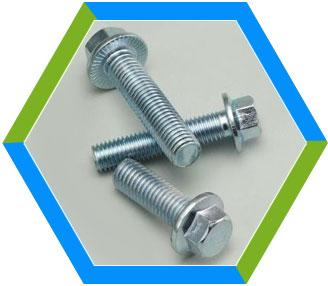 Stainless Steel Hex Flange Bolt, Length : 3 mm to 200 mm
