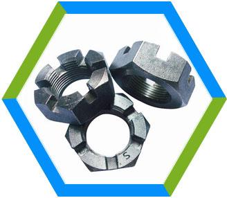 Stainless Steel slotted hex nut