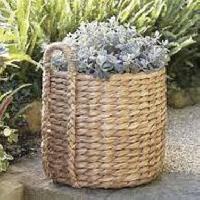 basket planters