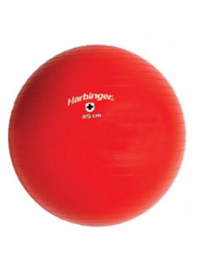 Harbinger Diameter Training Ball