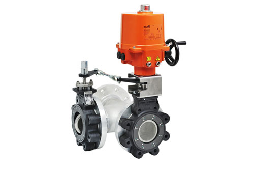 VICTAULIC BUTTERFLY VALVE