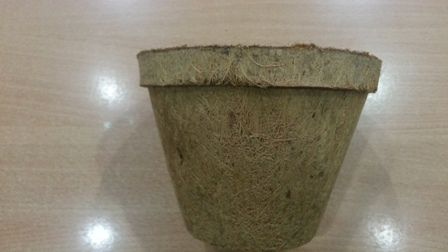 Coir Pots Biodegradable Nursery Containers