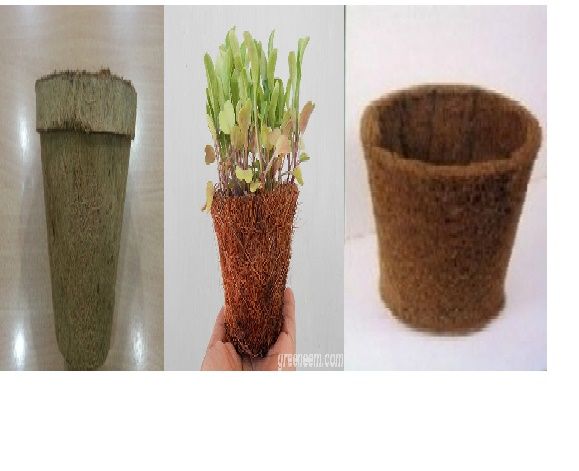 GreeNeem Coir Pots Or Bio Pots