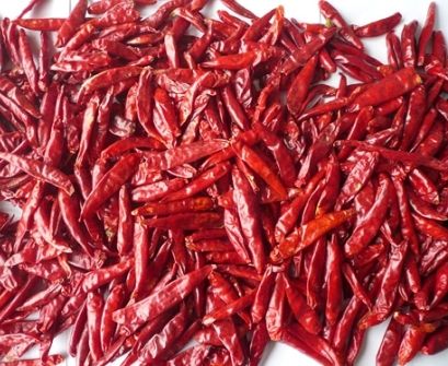 Red Chilli With And Without Stem