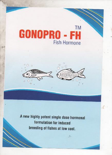 FISH HORMONS