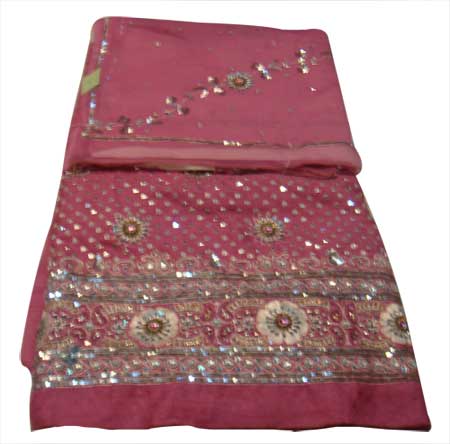 Ladies Embroidered Saree (DSC 01727)