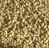 Australian Organic Pearl Barley