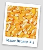 Organic broken maize for Animal Food