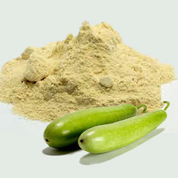 Dehydrated Bottle Gourd Powder, Packaging Type : Plastic Bag, Pouches