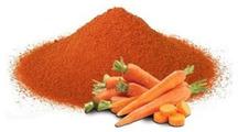 Dehydrated Carrot Root Powder, Shelf Life : 1year